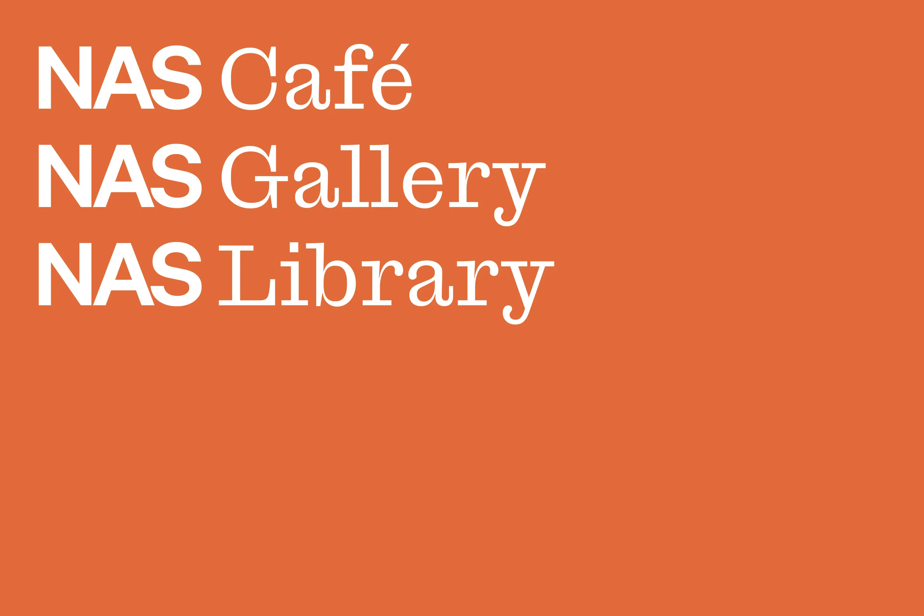 NAS case study copy25