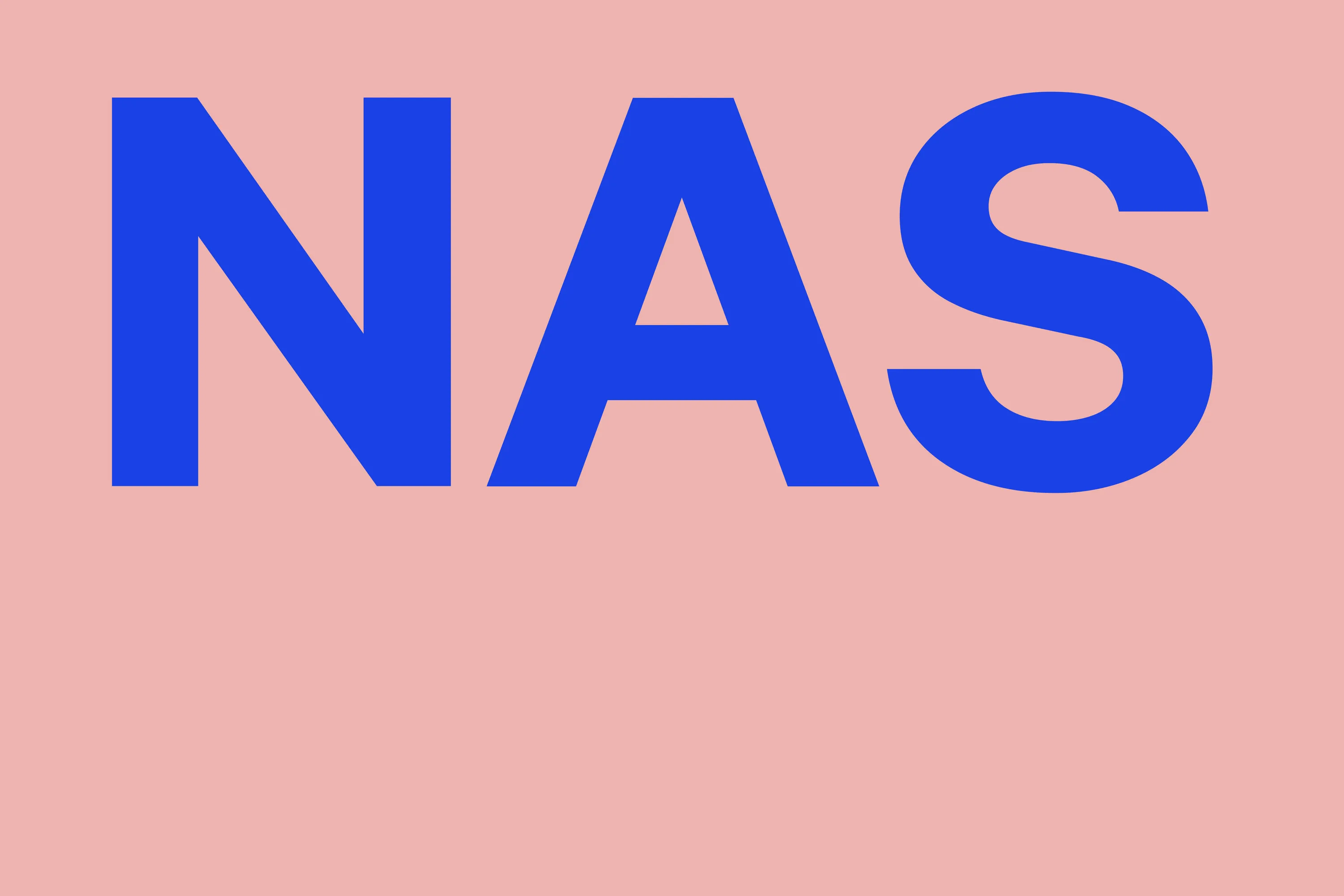 NAS case study copy22