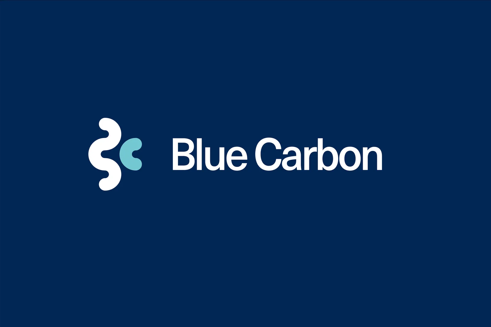 AGDA_23_BLUE_CARBON5.jpg.2880x4320_q90_upscale_q176ElJ.jpg